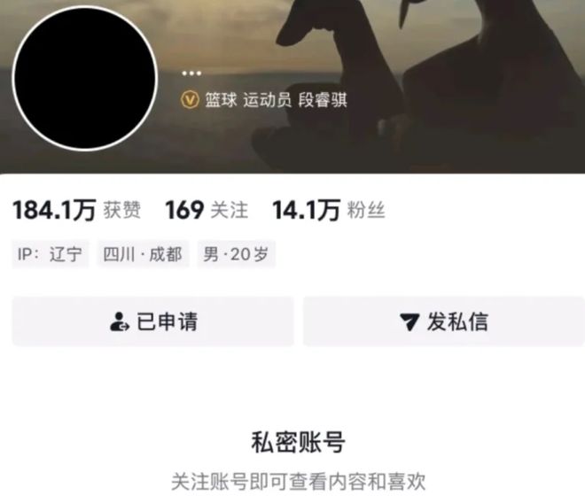 BBIN·宝盈集团详情图